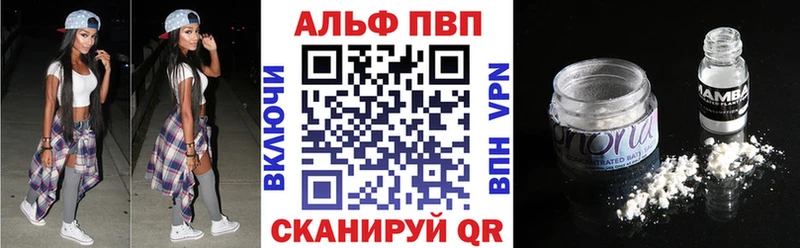 Альфа ПВП СК КРИС  Дагестанские Огни 