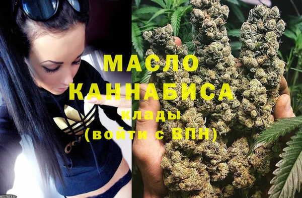 молекула духа Верхний Тагил