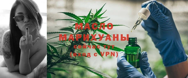 молекула духа Верхний Тагил