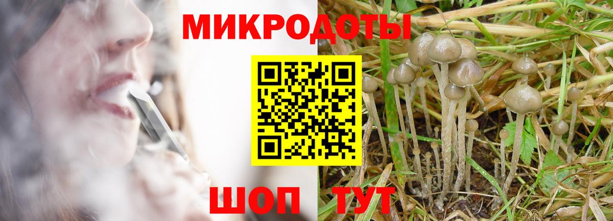 Дагестанские Огни  Галлюциногенные грибы мухоморы  Вход с VPN 